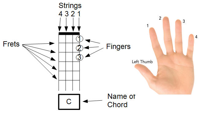 Chord Diagram explained...