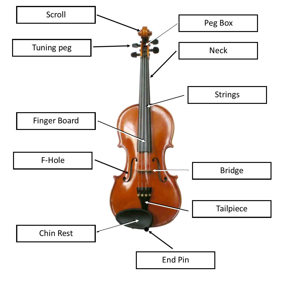 Ukulele Rocks! ::===o 